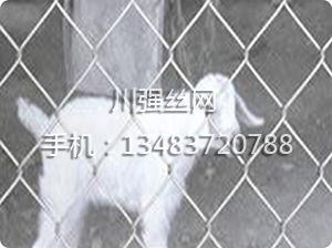 �B(y��ng)ֳ�o(h��)�ھW(w��ng)