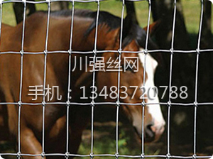 �B(y��ng)ֳ�o(h��)�ھW(w��ng)